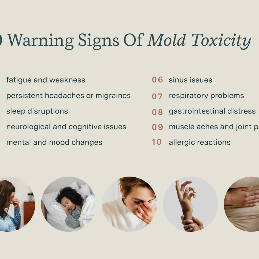 10 Warning Signs Of Mold Toxicity