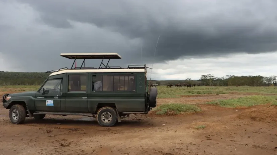 Kenyan safari itinerary
