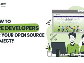 Hire Developers for Your Open Source Project (1)