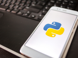 python for mobile app development