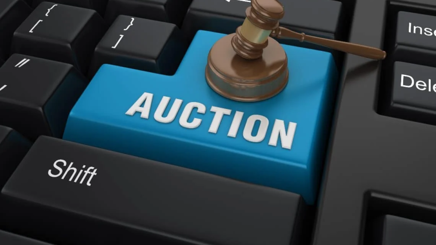 Online Auction in Pakistan